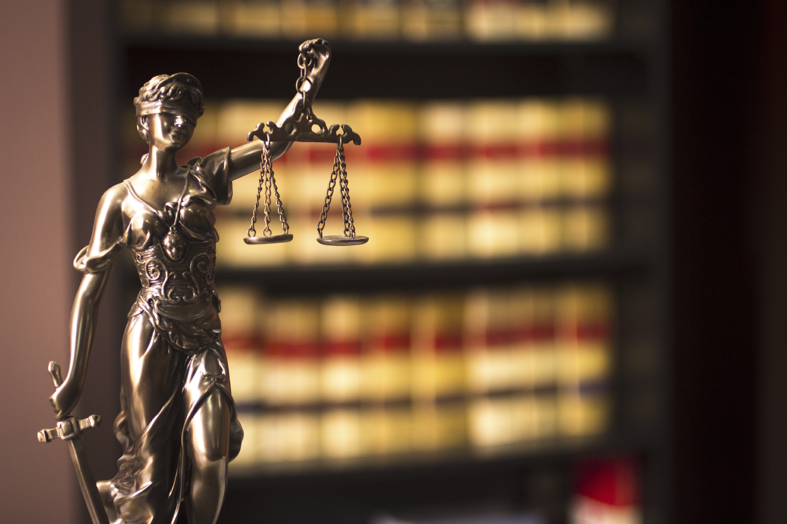 Litigation - delaJusticia.com