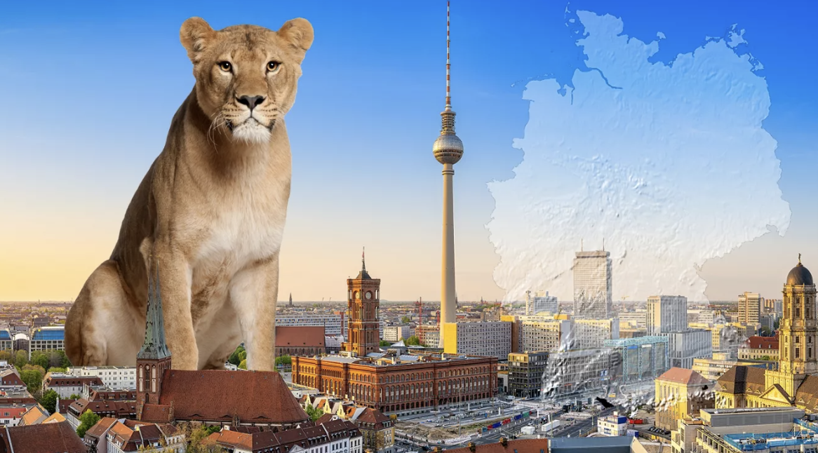 Captura de pantalla 2023 12 13 a las 8.18.39 - delaJusticia.com